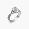 Diamond eye wedding ring