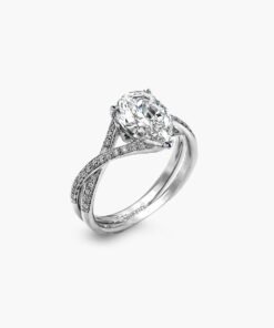 Diamond eye wedding ring